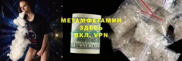 индика Вяземский