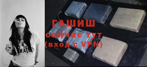 индика Вяземский
