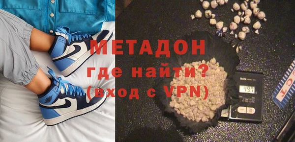 индика Вяземский