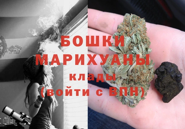 индика Вяземский