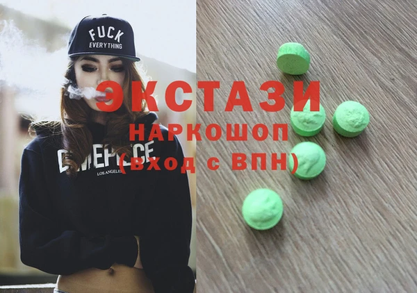 индика Вяземский