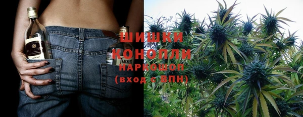 индика Вяземский