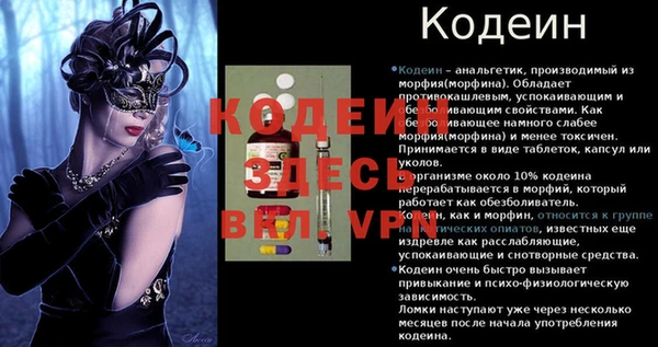 индика Вяземский