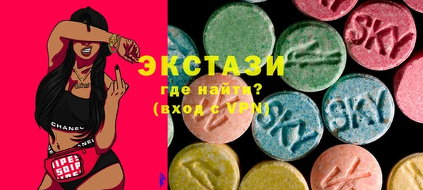 индика Вяземский