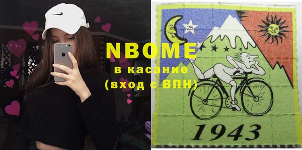 индика Вяземский