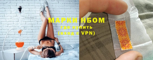 индика Вяземский