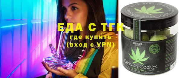 индика Вяземский