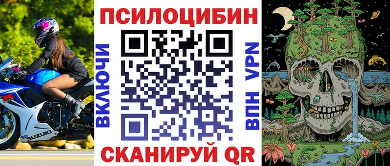 mega ССЫЛКА  Нефтекамск  Псилоцибиновые грибы Magic Shrooms 